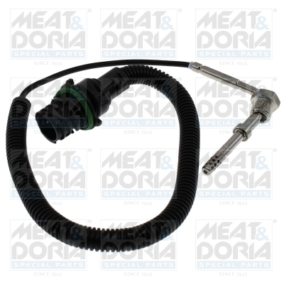 Sensor, exhaust gas temperature